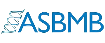 Syncell attend ASBMB 2025 from Aug 17–21 in Cambridge.
