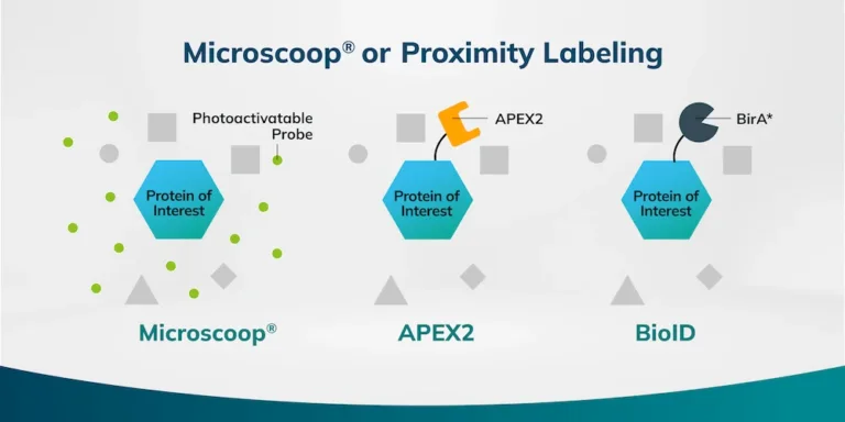 Methodology Comparison between Microscoop® with Proximity Labeling Techniques APEX2 and BioID