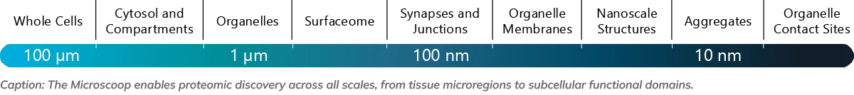The Microscoop enables proteomic discovery across all scales, from tissue microregions to subcellular functional domains.