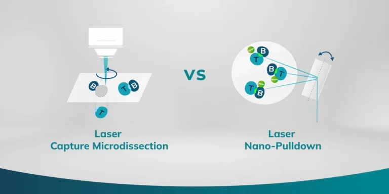 What is laser nano-pulldown? How does it differ from laser capture microdissection? (Syncell Blog Cover)
